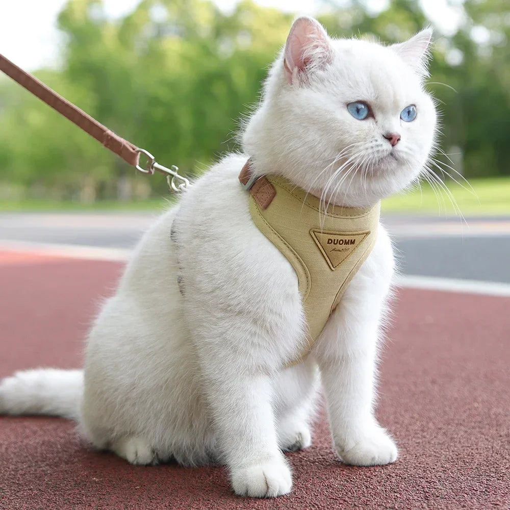 Walking Supplies Fashion Pet Harness and Leash Set for Small Dogs Cats