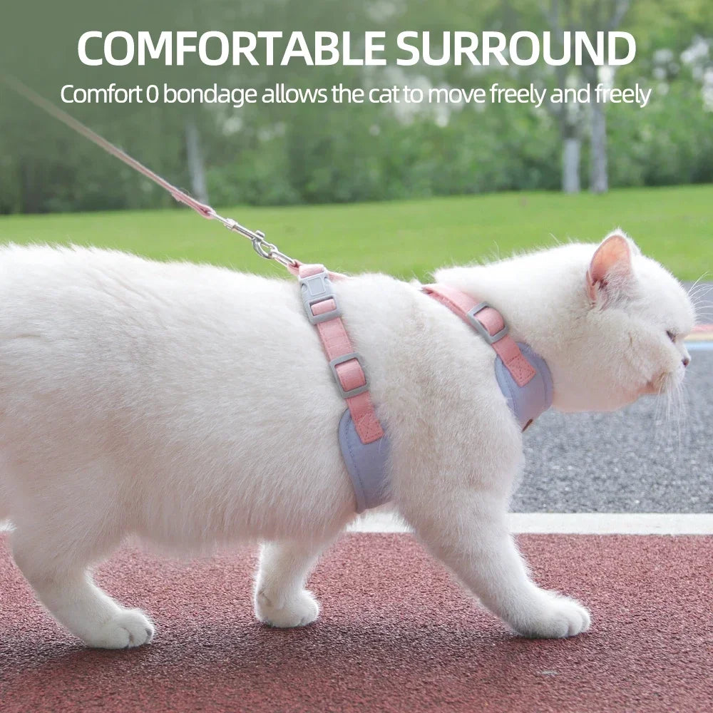 Walking Supplies Fashion Pet Harness and Leash Set for Small Dogs Cats