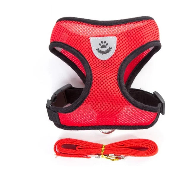 Breathable Mesh Cat Harness and Leash Set