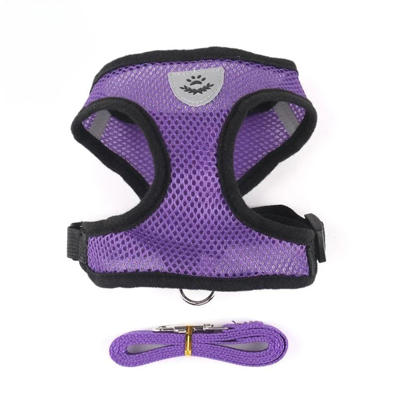 Breathable Mesh Cat Harness and Leash Set