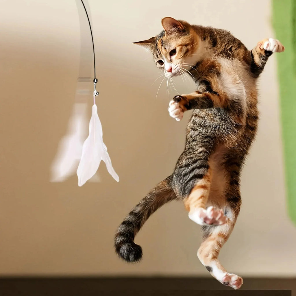 Cat Teaser Toy - Interactive Bell & Feather Wand - Long Suction Cup Pole for Exciting Playtime