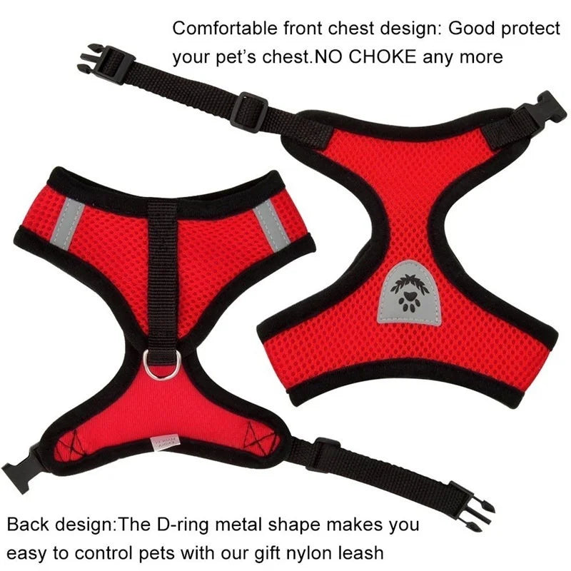 Breathable Mesh Cat Harness and Leash Set
