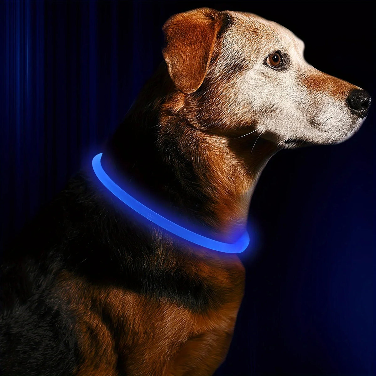 LED Light Collar USB Rechargeable
