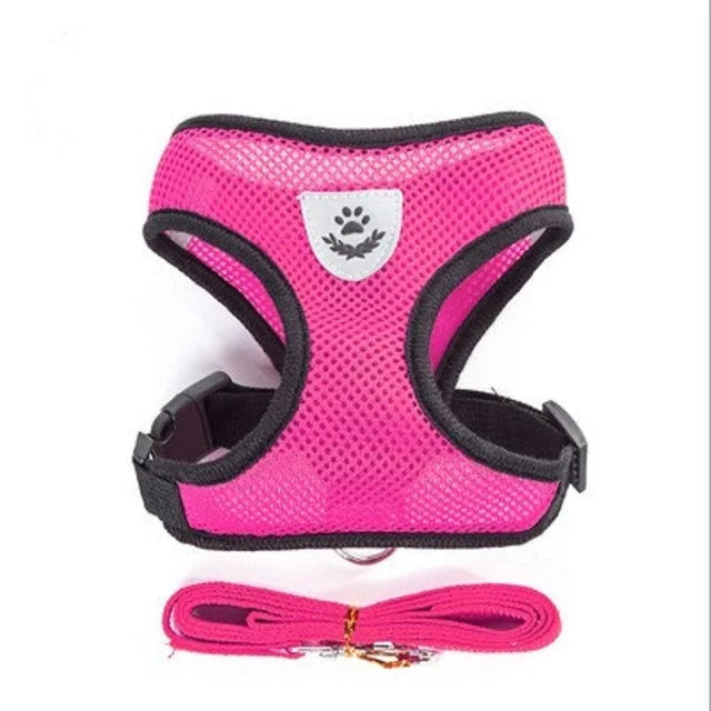 Breathable Mesh Cat Harness and Leash Set