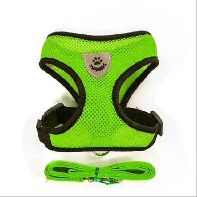 Breathable Mesh Cat Harness and Leash Set