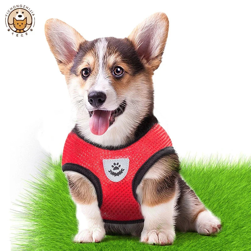 Puppy, Cat Harness Polyester Adjustable Mesh