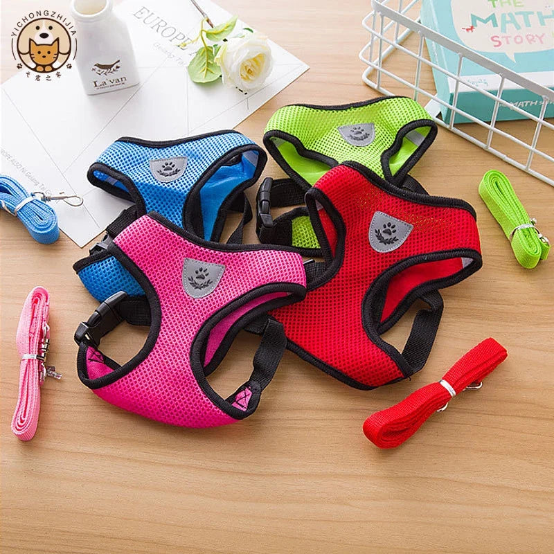 Puppy, Cat Harness Polyester Adjustable Mesh