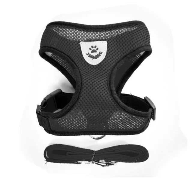 Breathable Mesh Cat Harness and Leash Set