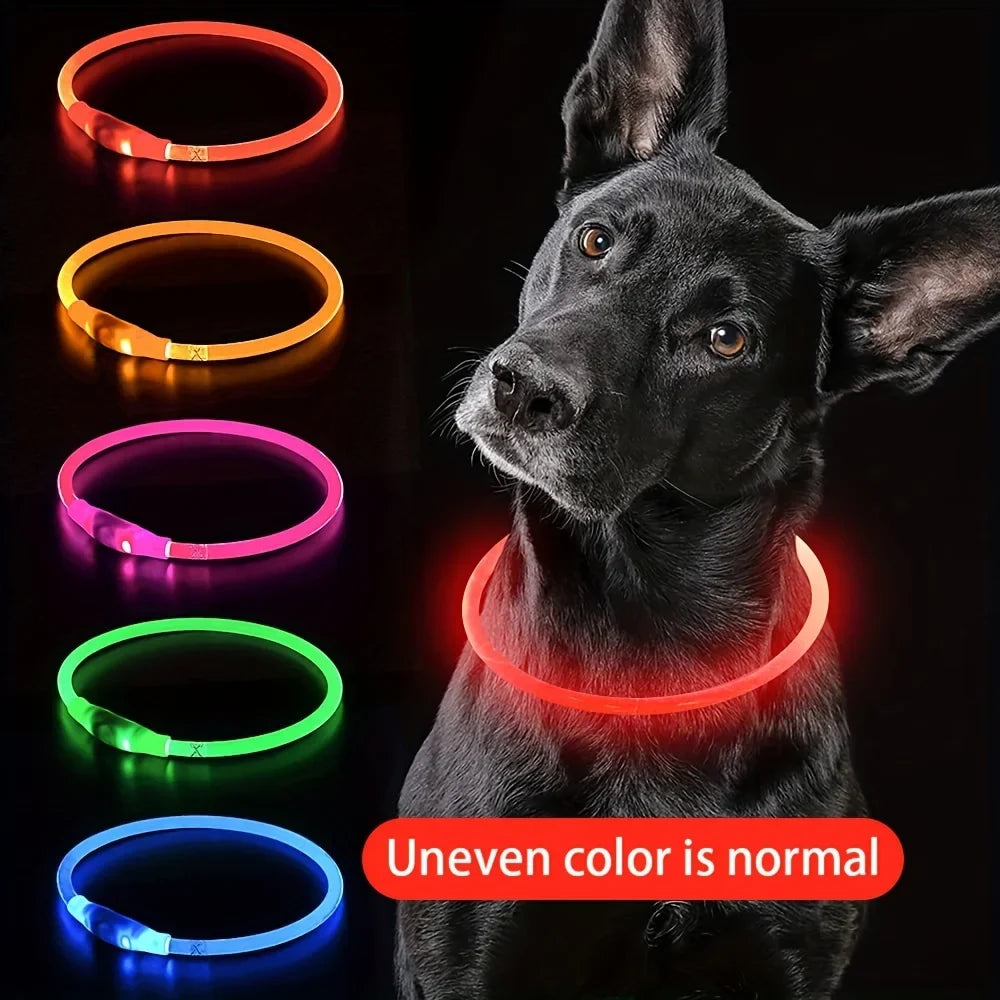 LED Light Collar USB Rechargeable
