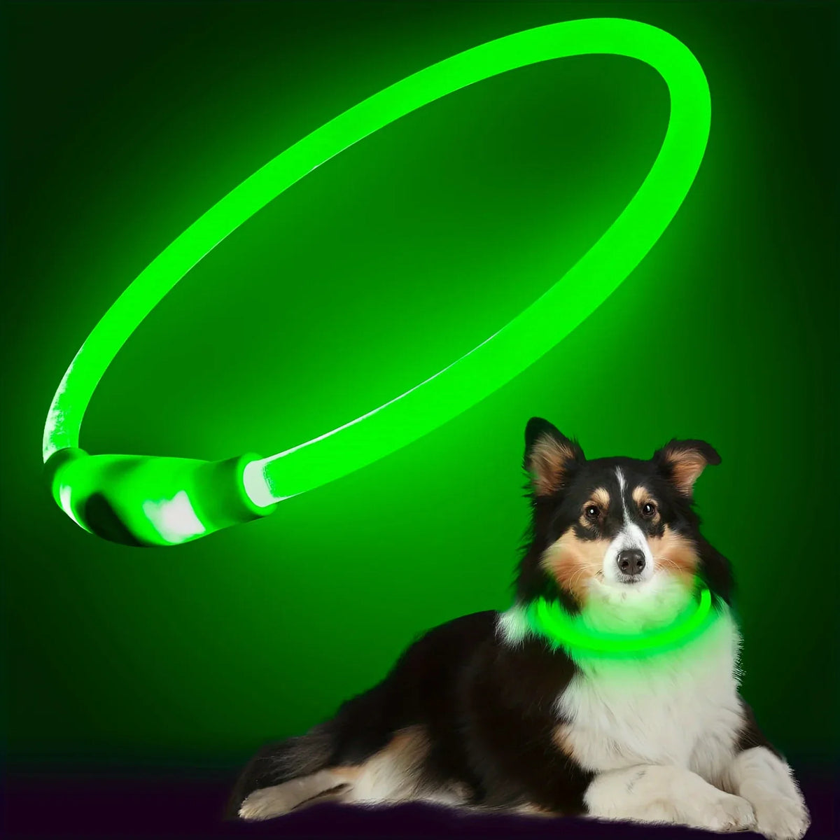 LED Light Collar USB Rechargeable