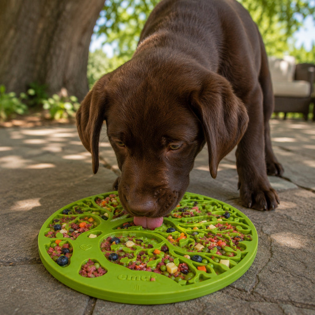 Tree of Life eMat - Enrichment Lick Mat For Dogs and Cats - With Suction Cups