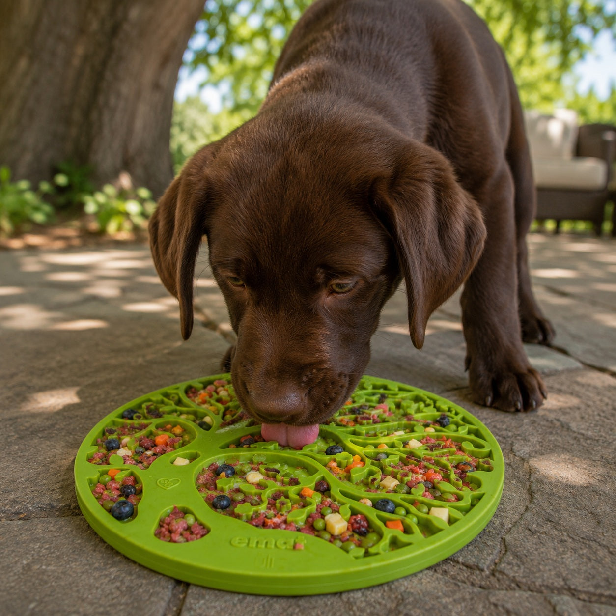 Tree of Life eMat - Enrichment Lick Mat For Dogs and Cats - With Suction Cups