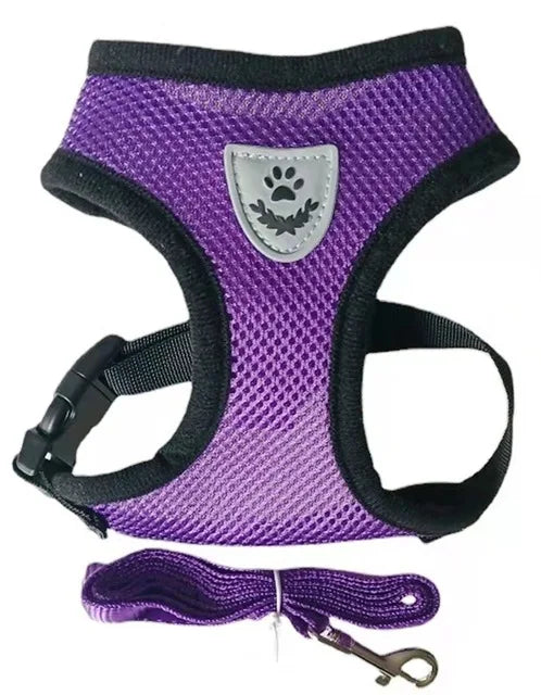 Breathable Mesh Cat Harness and Leash Set