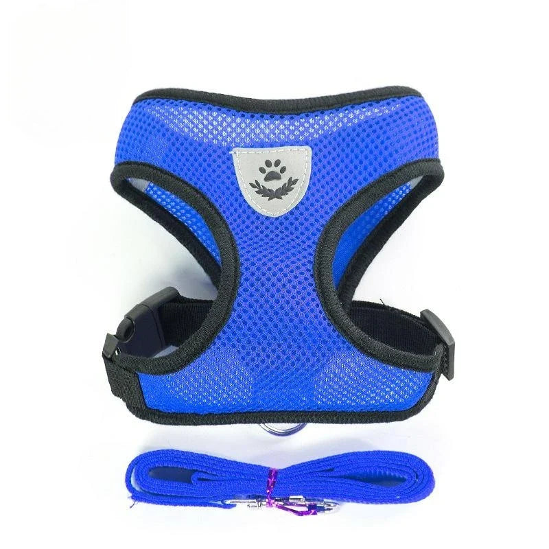 Breathable Mesh Cat Harness and Leash Set