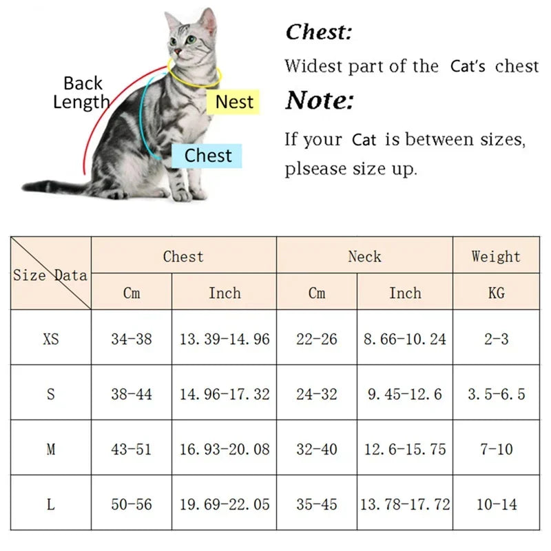 Walking Supplies Fashion Pet Harness and Leash Set for Small Dogs Cats