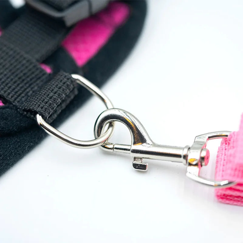 Puppy, Cat Harness Polyester Adjustable Mesh