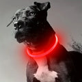 LED Light Collar USB Rechargeable