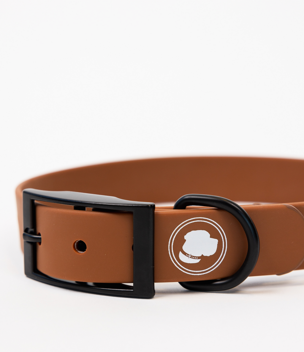 The Modern Dog Company - Coco Brown Collar (Weather + Odor Resistant)