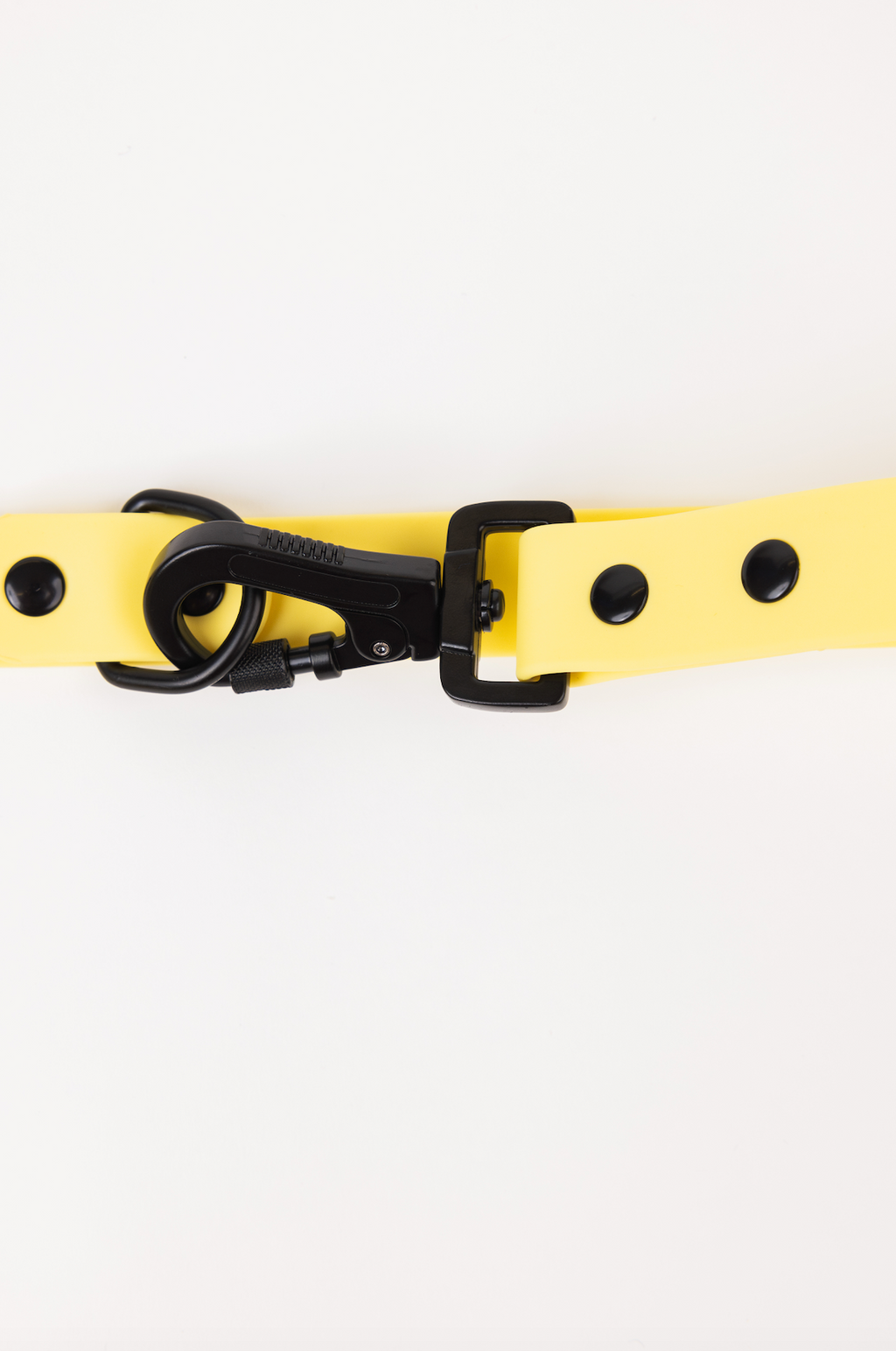 Daffodil Yellow Adjustable Leash