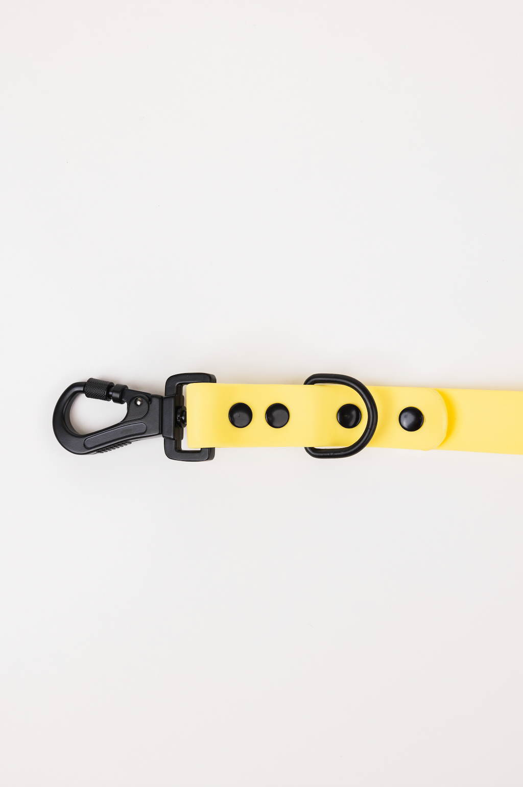 Daffodil Yellow Adjustable Leash