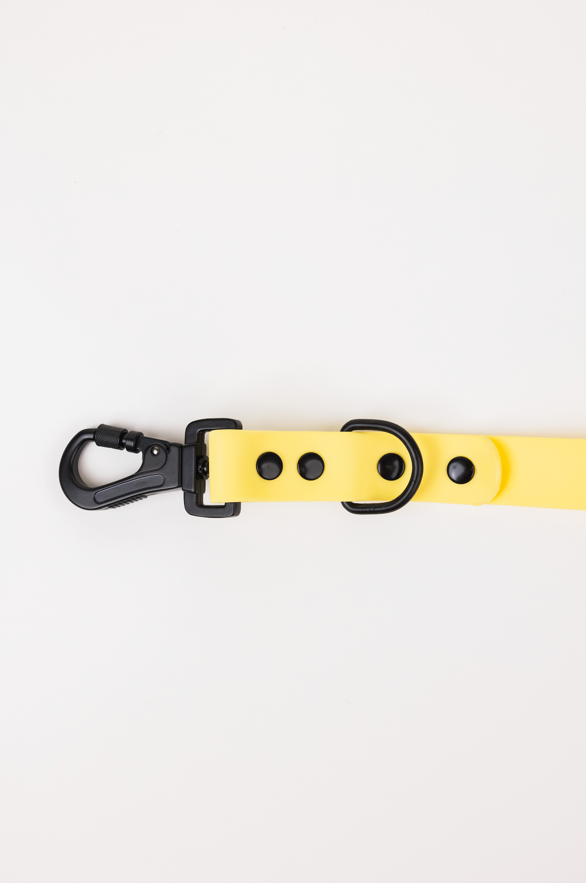 Daffodil Yellow Adjustable Leash