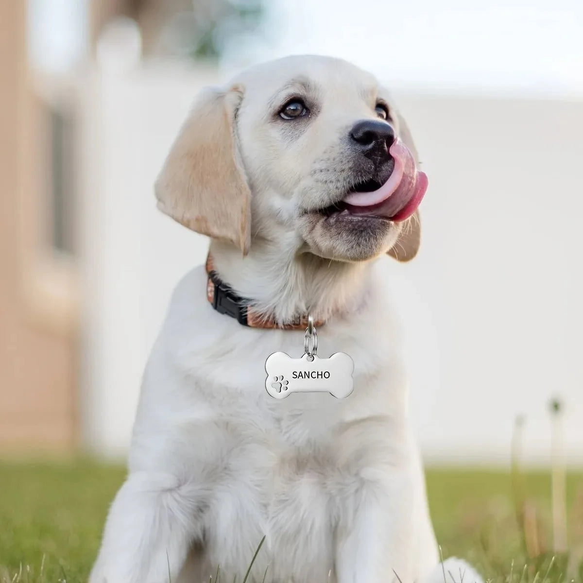 Personalized Dog Cat ID Tag | Custom Engraved