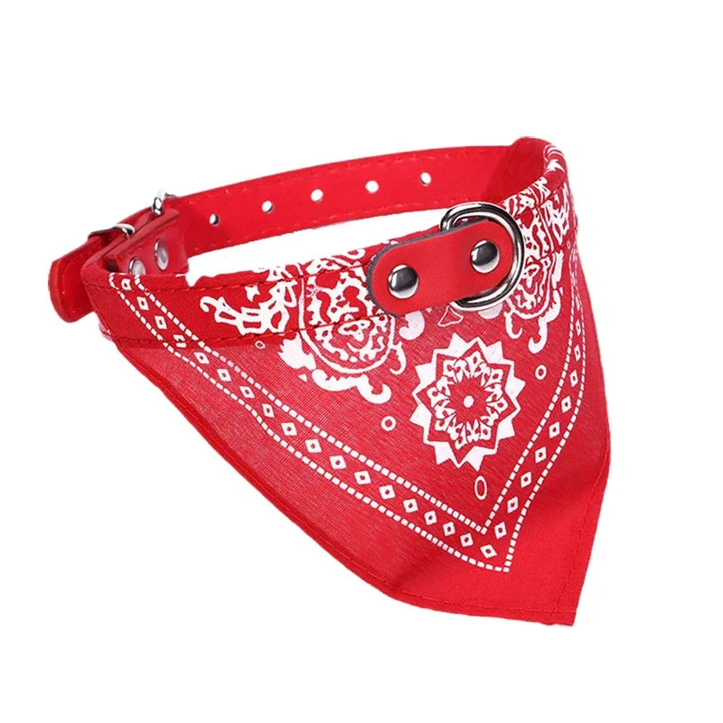 Adjustable Dog Cat Collar with Detachable Scarf