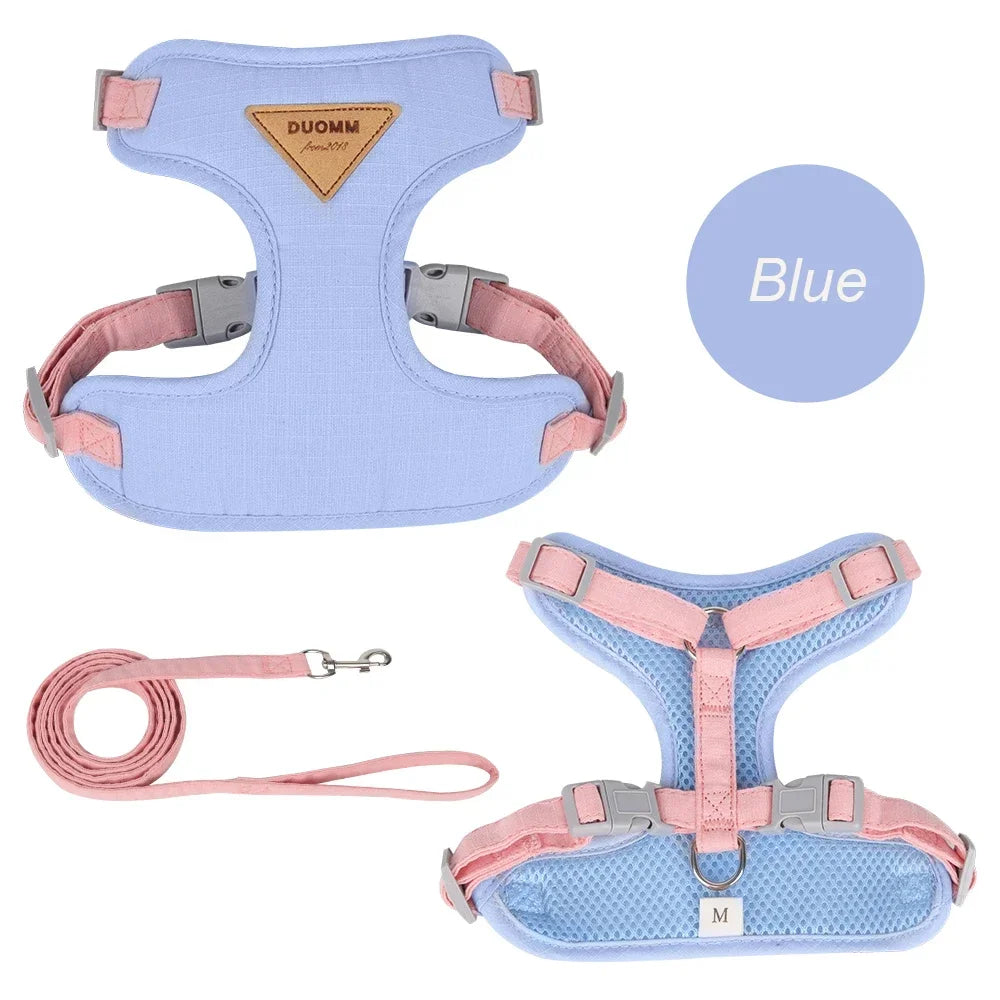 Walking Supplies Fashion Pet Harness and Leash Set for Small Dogs Cats
