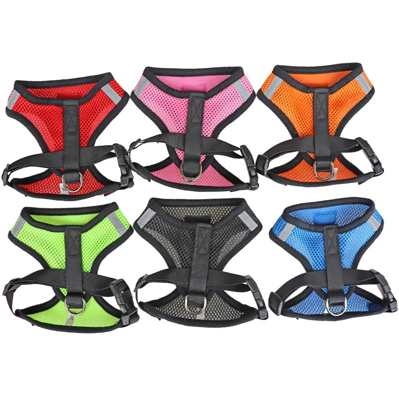 Breathable Mesh Cat Harness and Leash Set
