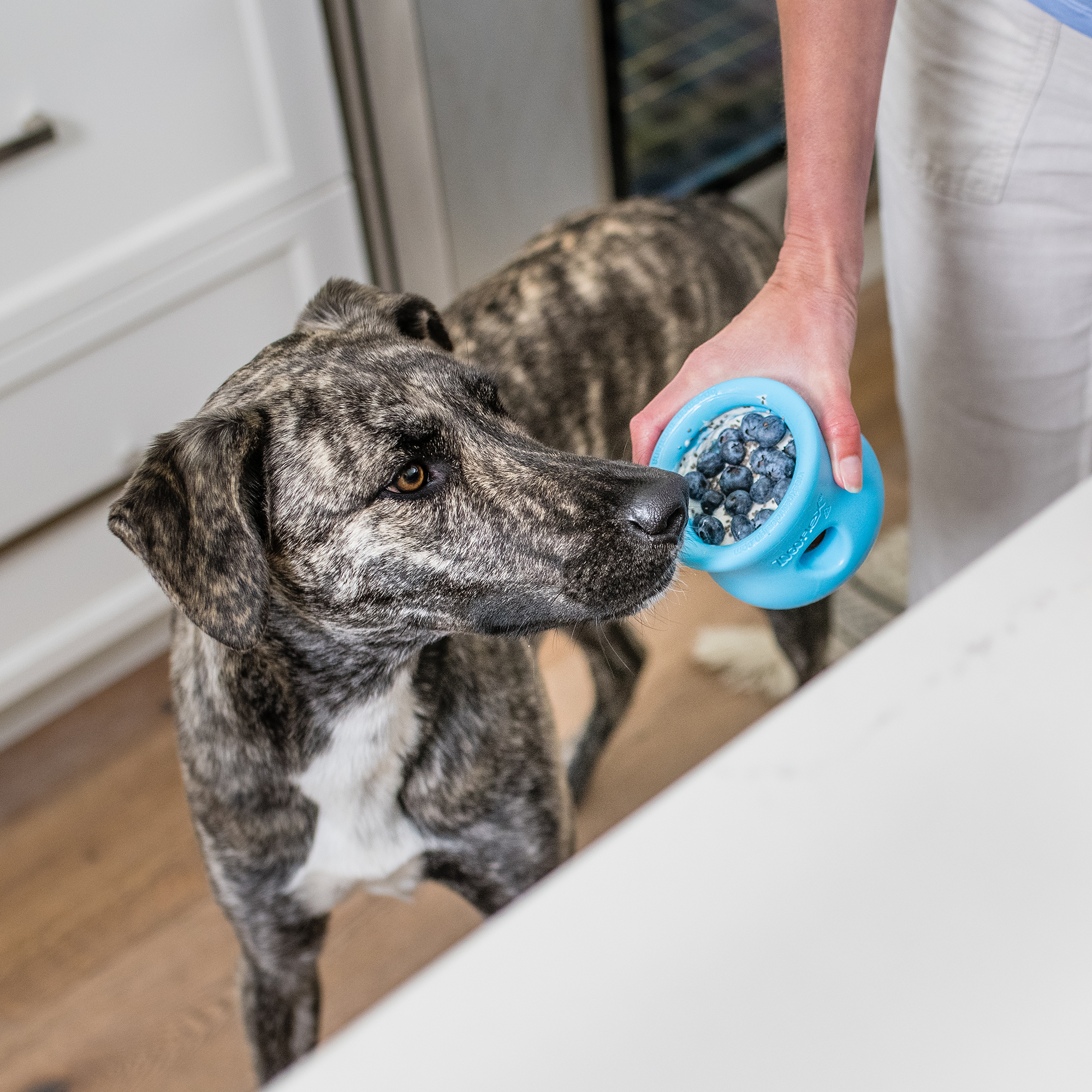 Puzzle and Treat Toy