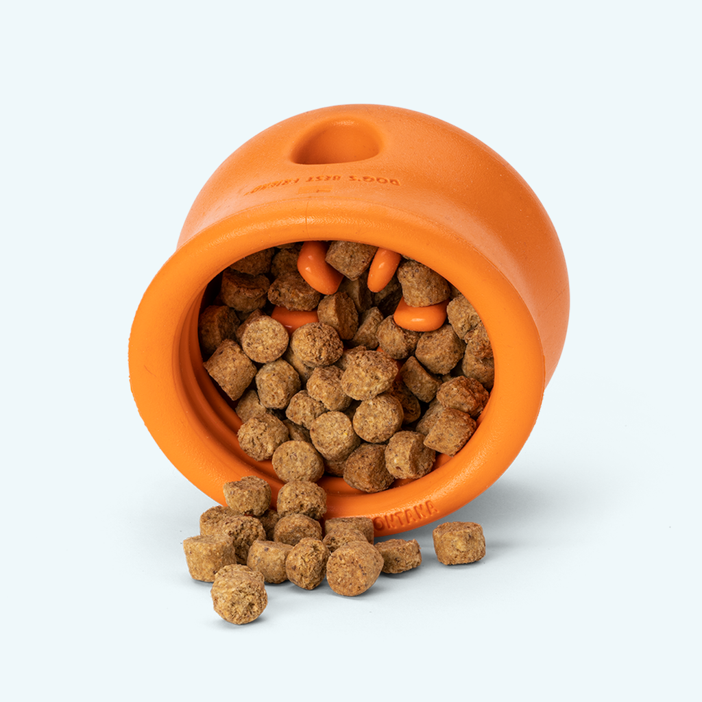 Puzzle and Treat Toy