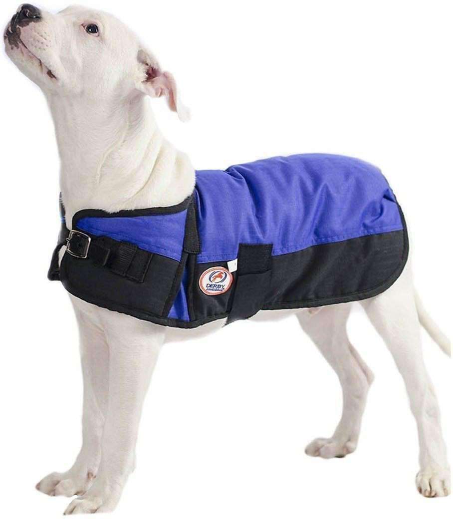 Waterproof Winter Dog Coat 150g Medium Weight