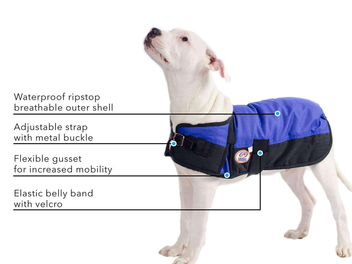 Waterproof Winter Dog Coat 150g Medium Weight