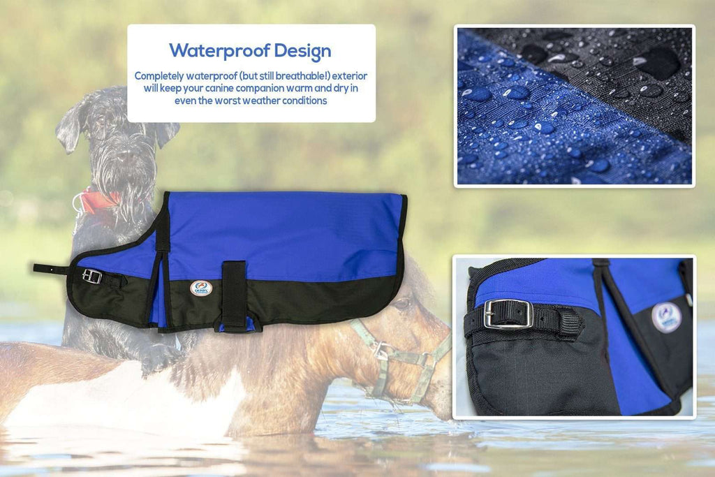 Waterproof Winter Dog Coat 150g Medium Weight