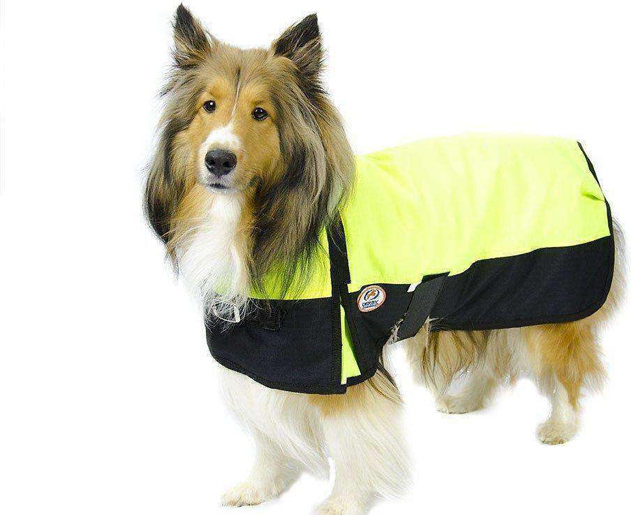 Waterproof Winter Dog Coat 150g Medium Weight