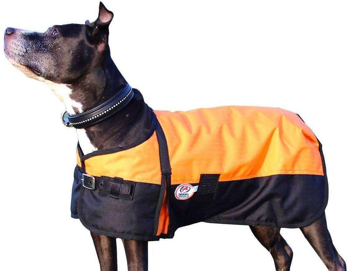 Waterproof Winter Dog Coat 150g Medium Weight