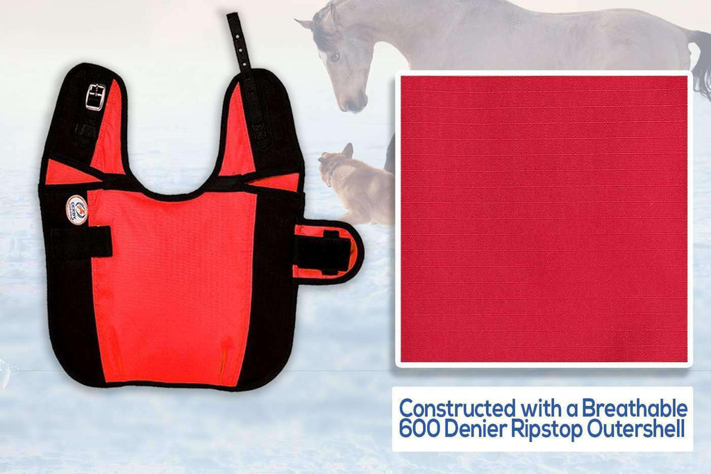 Waterproof Winter Dog Coat 150g Medium Weight