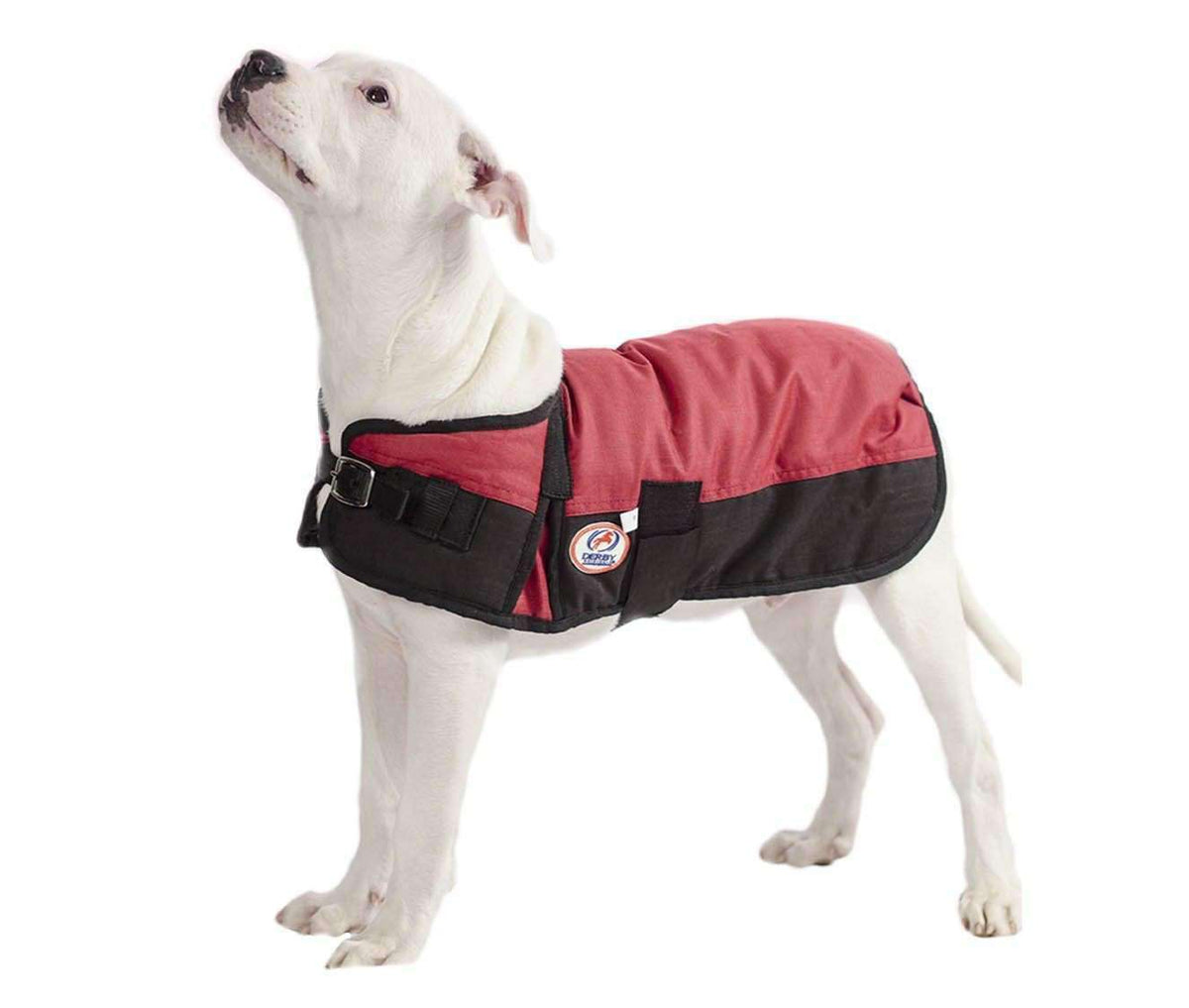 Waterproof Winter Dog Coat 150g Medium Weight