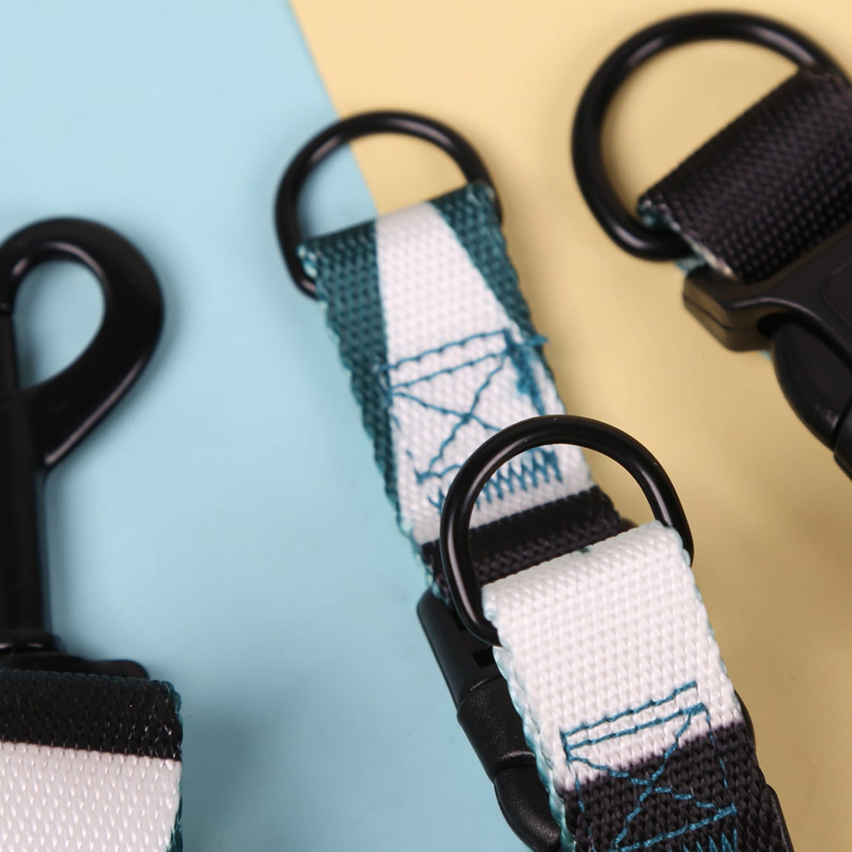 Hand Holding Rope, Leash, Collar Three-piece Set