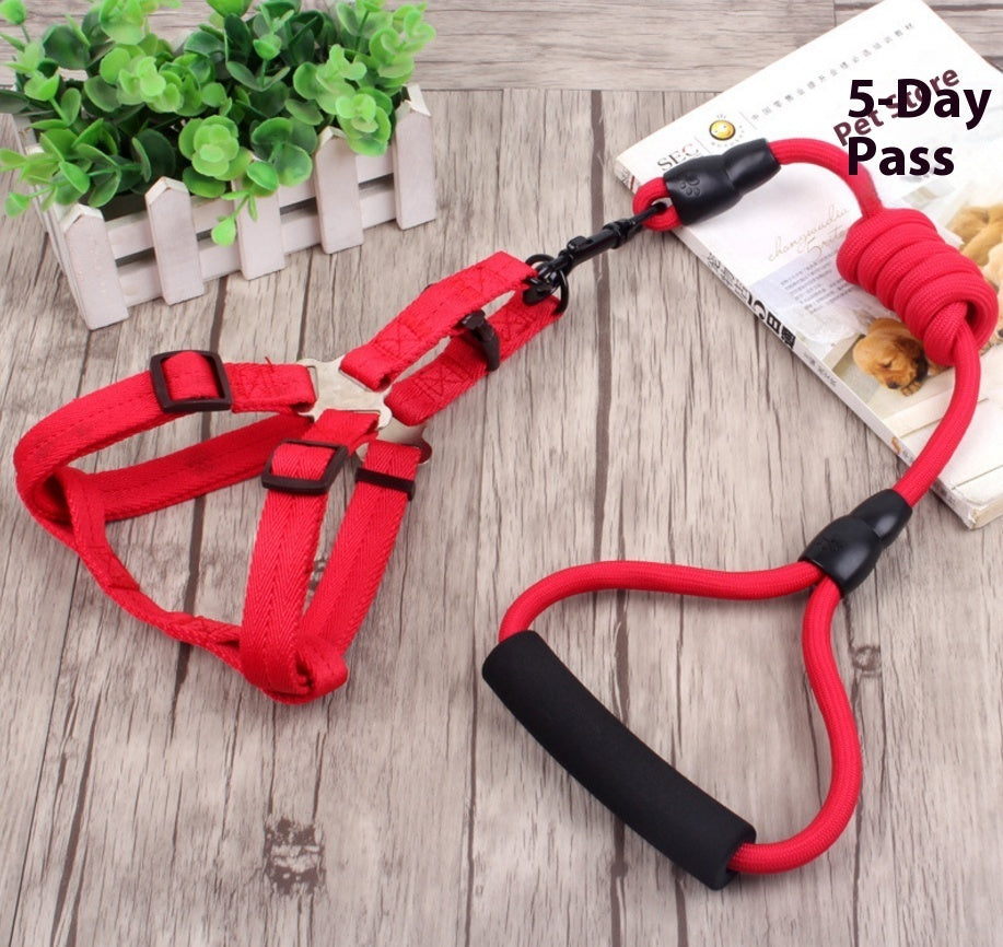 Dog Collar & Harness Rope