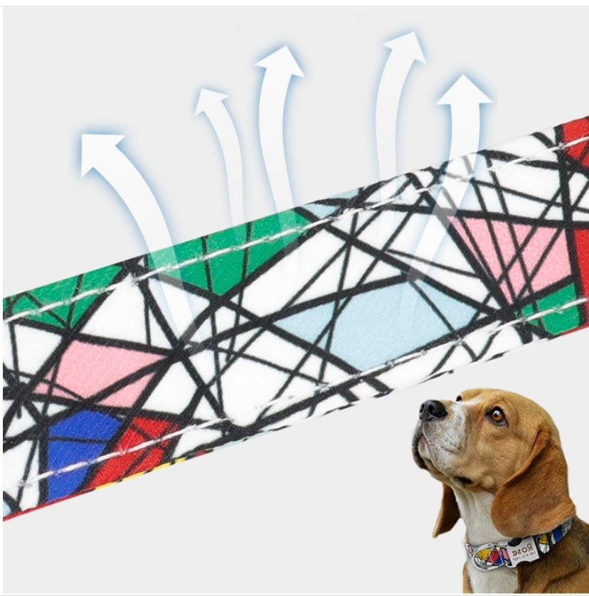 Pet Collar with Lettering