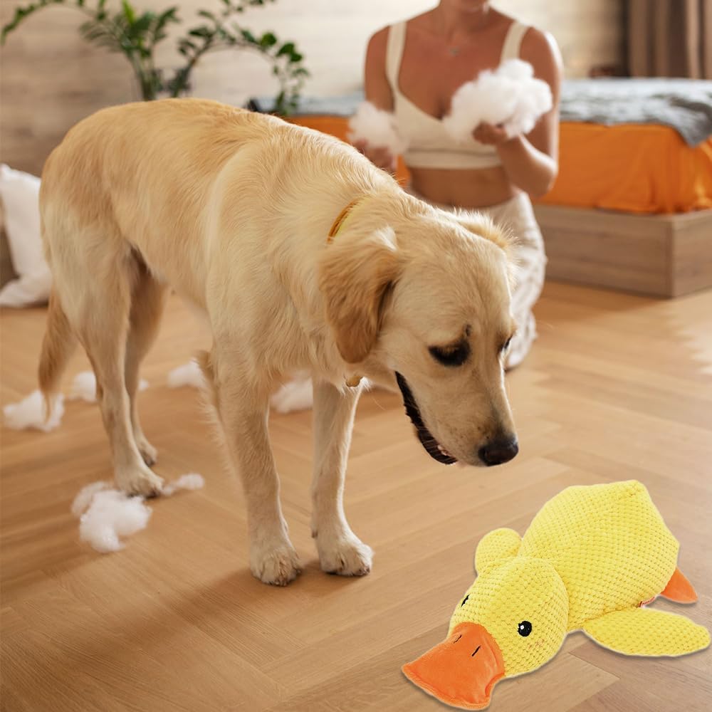 Best Pet Dog Toys For Small Medium And Large Breeds
