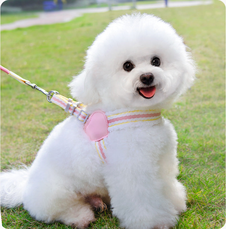 Dog Leash Summer Breathable