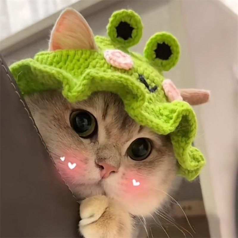 Pet Hat Cute 3D Knitted Wool Bonnet