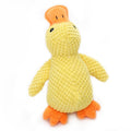 Best Pet Dog Toys For Small Medium And Large Breeds