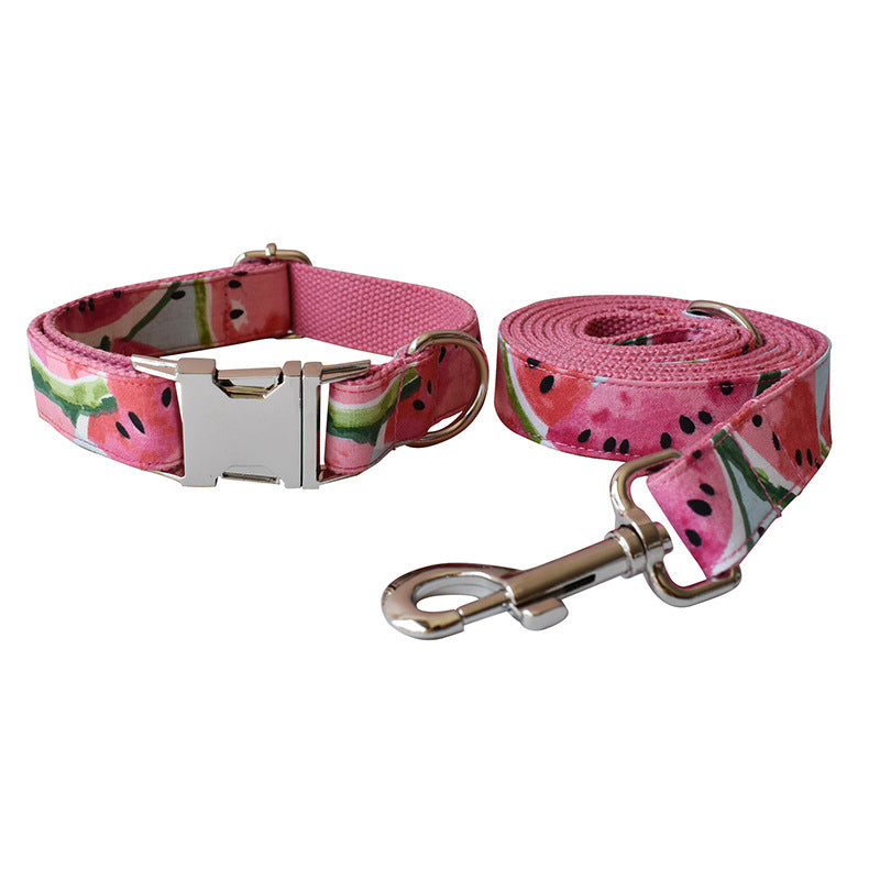 Pet Collar & Leash Set