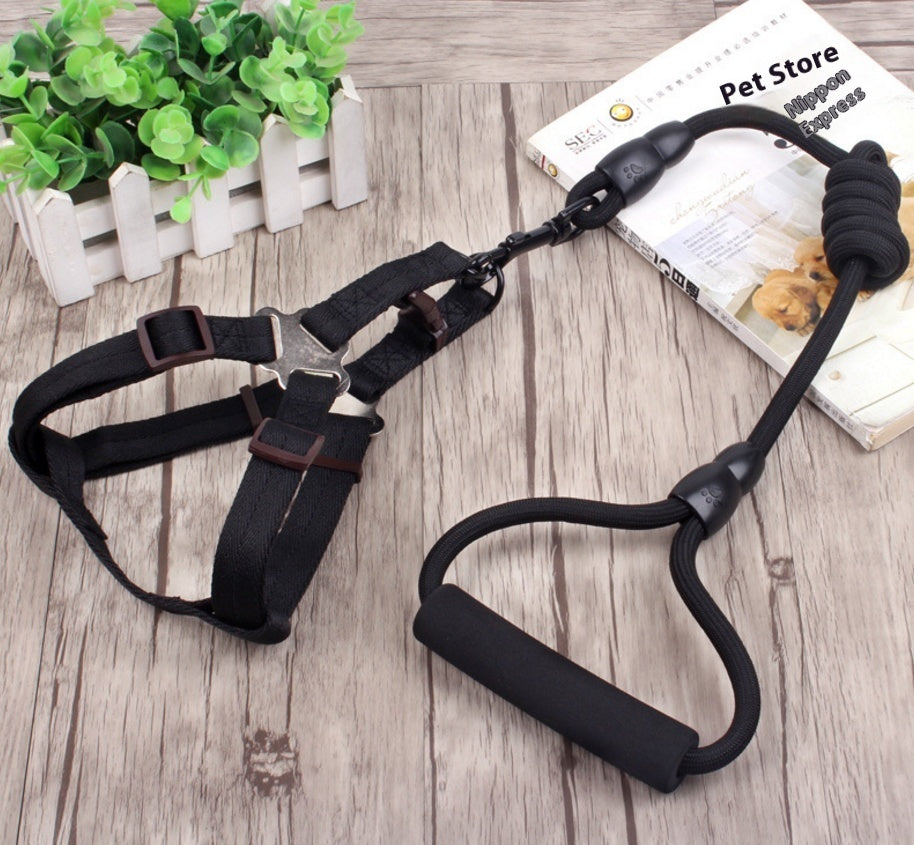 Dog Collar & Harness Rope
