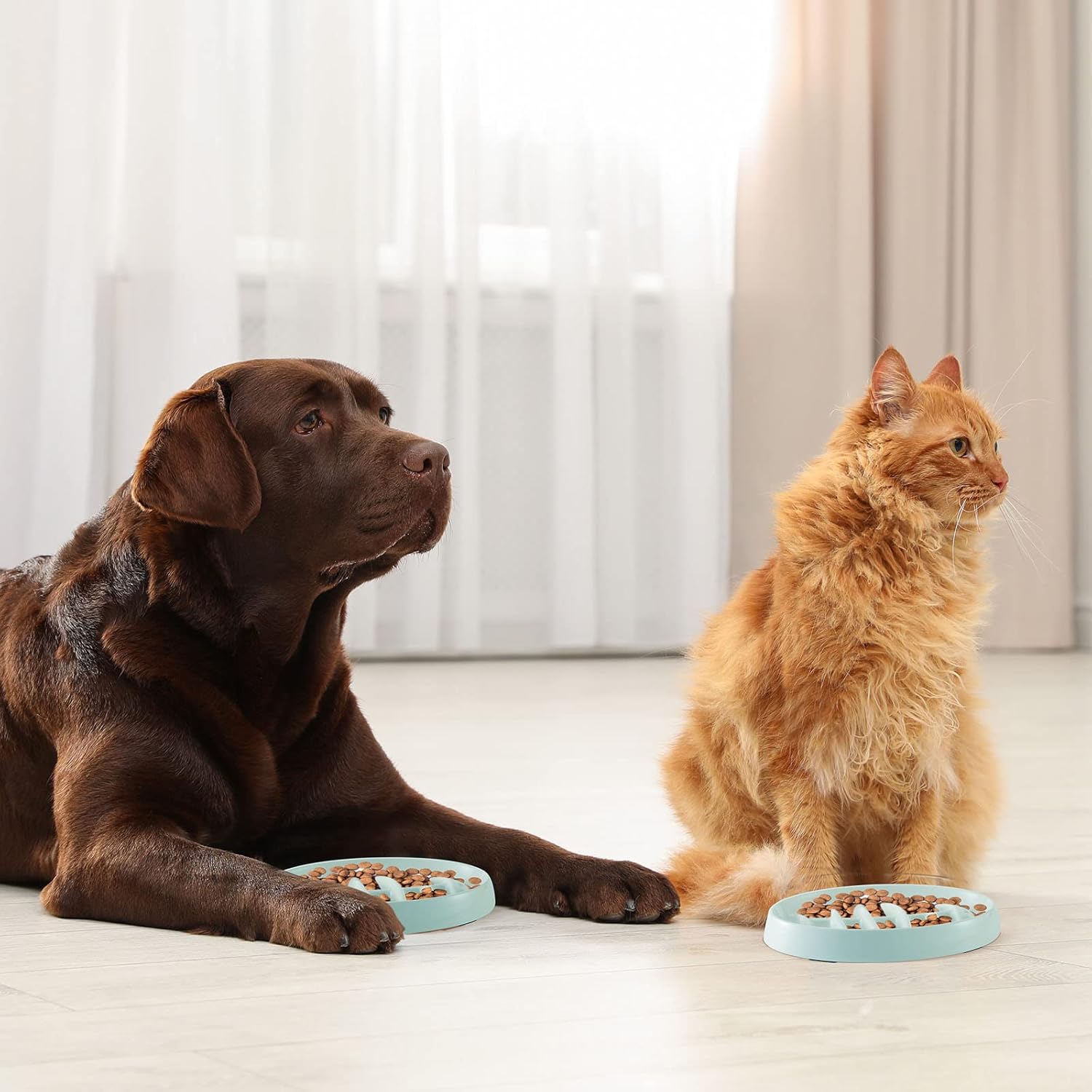 Cat Slow Feeder Bowl