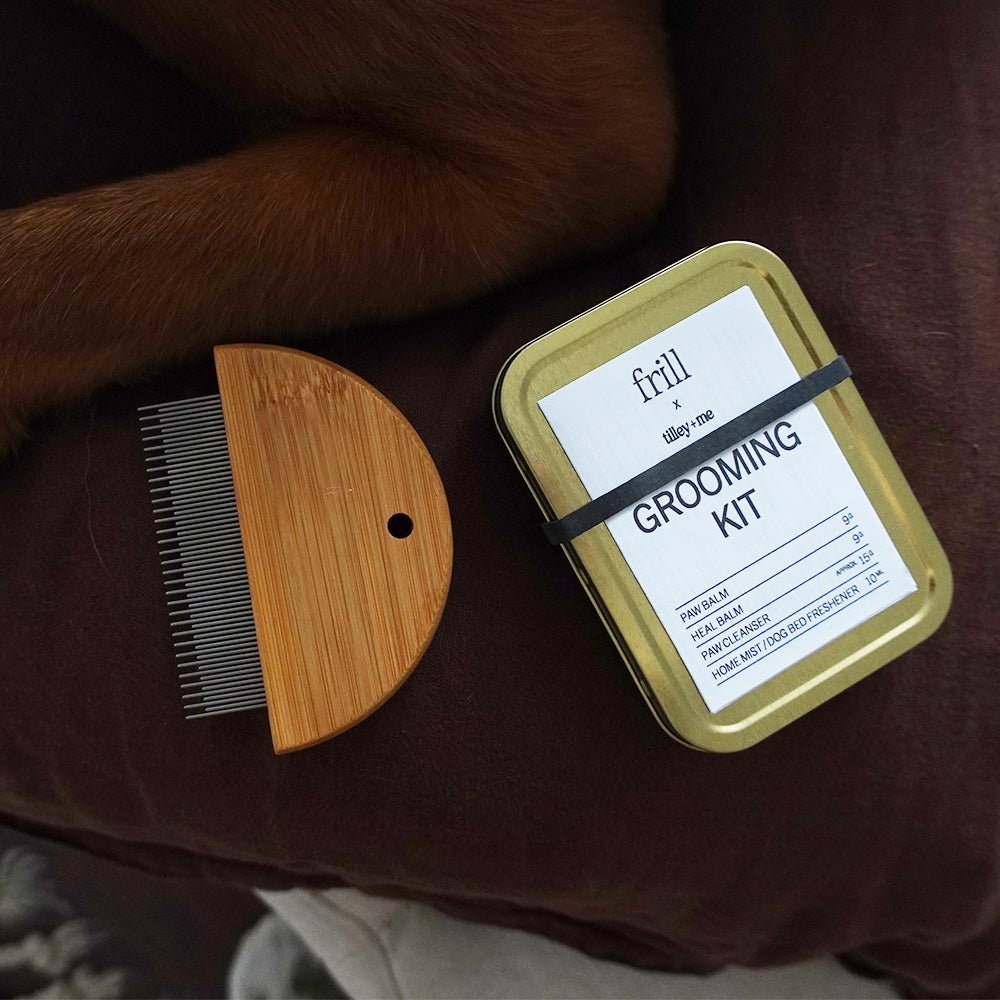 Tilley + Me Bamboo fur detangler and flea comb – Set of 2