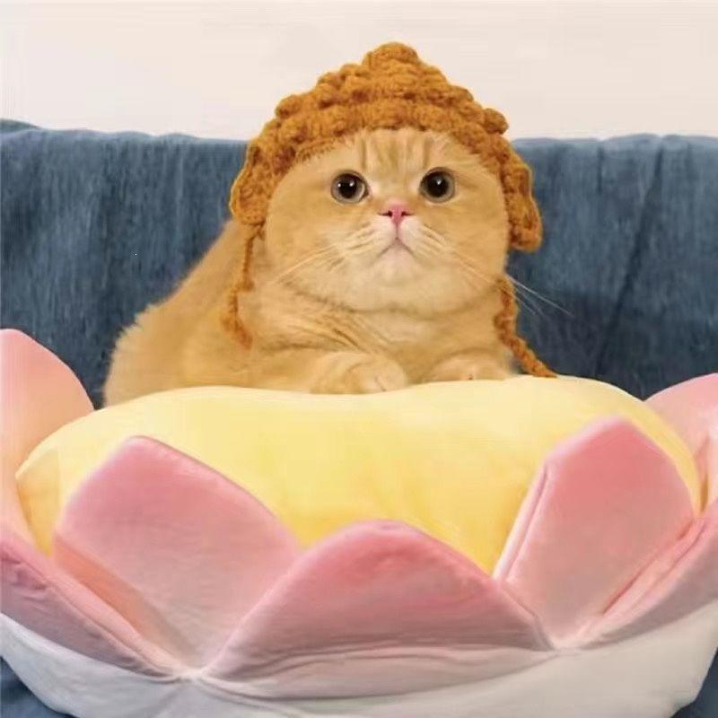 Pet Hat Cute 3D Knitted Wool Bonnet